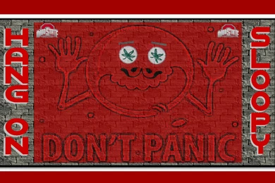 Ohio_state_wp_don't Panic   Ohio State Buckeyes Wallpapers ...