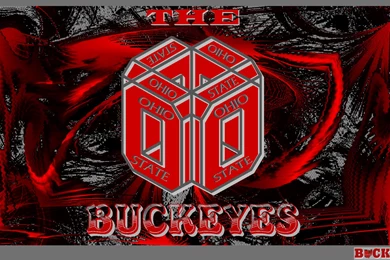 THE OHIO STATE BUCKEYES 3D BLOCK O   Ohio State Football Wallpapers ...