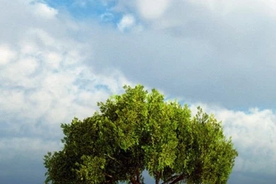 Sophia Bush One Tree Hill Wallpapers Free Sophia Bush One Tree ...