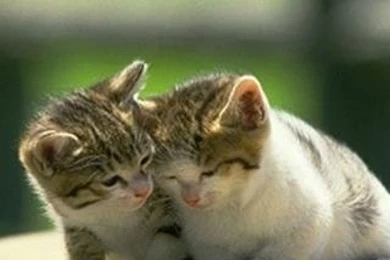 Hd Cool Abstract Wallpapers Taglist Page 2 For Mobile Phone.