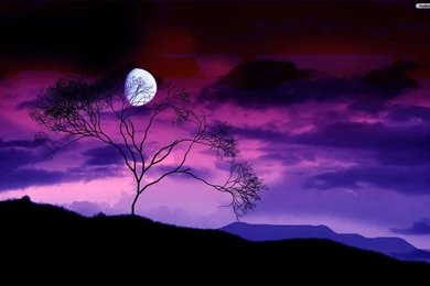 YouWall   Moon Behaind The Tree Wallpapers   Wallpaper,wallpapers ...
