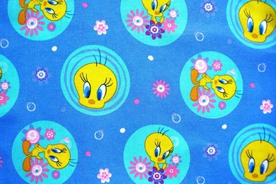 Free Tweety Bird Wallpapers   Wallpapers Cave