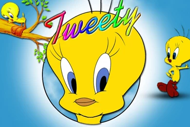 Tweety bird close up image.jpg