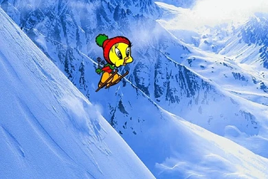 Tweety Bird Wallpapers   Tweety Bird Wallpapers (5702244)   Fanpop