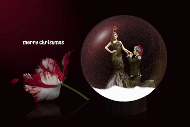 Twilight Saga Wallpapers   21002