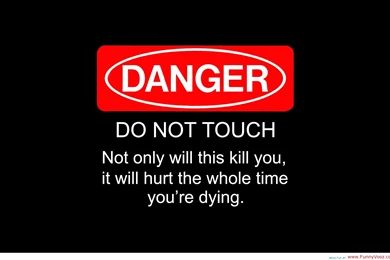 Funny Wallpapers Mobile   HD Wallpapers Lovely