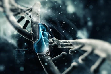 Free Hd Wallpapers   (