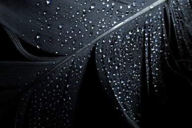 Note 2 Wallpapers HD   Beautiful, Stunning Wallpapers