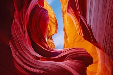 Winners Of 2011 FotoWeekDC   My Modern Met