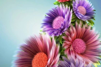 Beautiful Flowers... Zedge Wallpapers