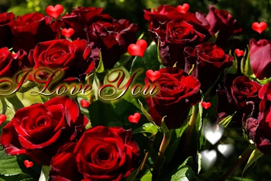 I Love You Wallpapers