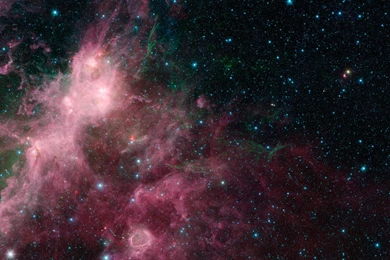 File:Wallpapers Of Life And Death Intermingled.jpg Wikimedia Commons