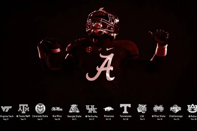 Alabama football wallpapers1.jpg