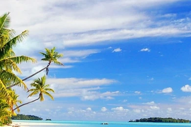 Tropical Beach S4 Wallpapers