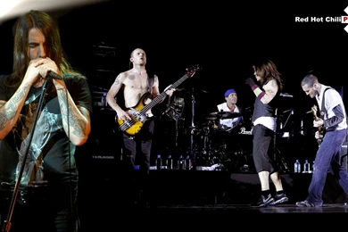 Red Hot Chili Peppers Computer Wallpapers, Desktop Backgrounds ...