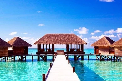 640x960 Hot Wallpapers For Phone Download   19   640x960   Hot ...