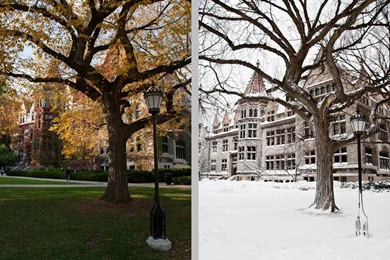 Jamie Manley Photography: UChicago Fall 2011