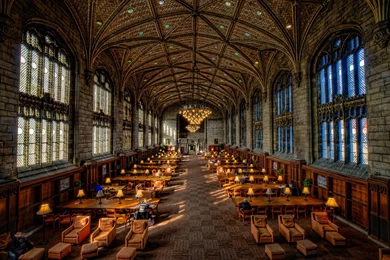 University Of Chicago Rankings, Degrees, Reviews & Info