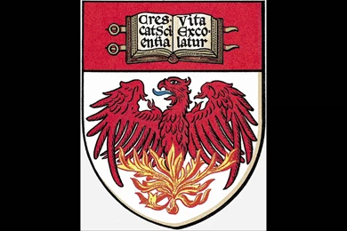 The University Of Chicago Phoenix Rap   YouTube