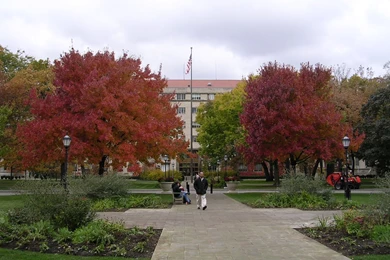 Autumn 2006 In Chicago