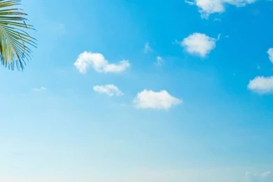 Tropical Sunshine iPhone 5s Wallpapers Download