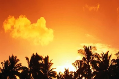 Download Beach Sunset Phone Wallpapers HD Mobile For Download ...