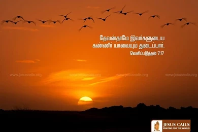 Bible Verses Wallpapers