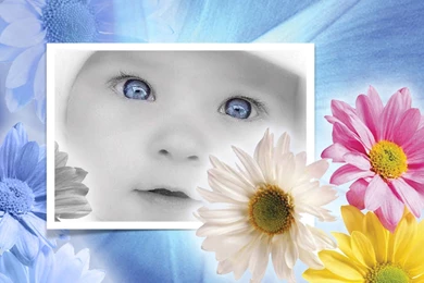 Free Wallpapers Of Babies   Wallpapers HD Fine