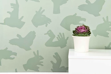 Dark Green Boys Wallpapers For Kids