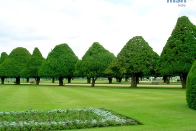 Download Software Driver Wallpapers Nature Duck Birds Lovely ...