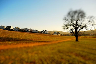 Free nature desktop wallpaper.jpg