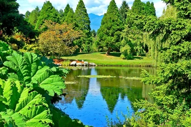 GREENERY WALLPAPER (