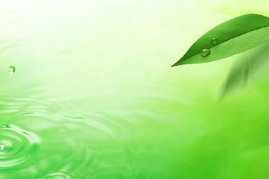 Nature Greenery (id: 106701) – BUZZERG