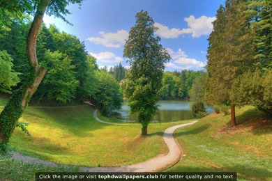 Pleasing Greenery 4K Or HD Wallpapers For Your PC, Mac Or Mobile Device