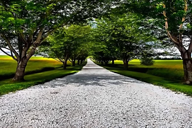 Greenery Lane >> HD Wallpaper, Get It Now!