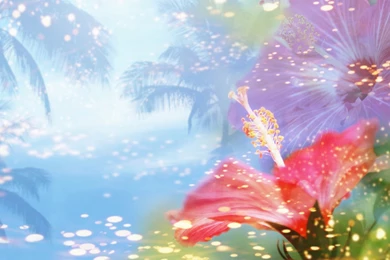 Hd Abstract Artworks, Art Wallpapers, Cool Desktop Images, Amazing ...