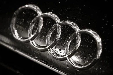 4shared استعرض جميع الصور في المجلد Audi