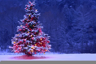 Hd Christmas Wallpapers   Widescreen HD Wallpapers
