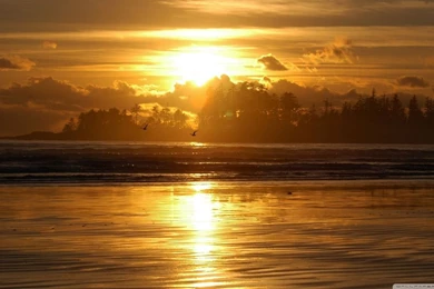 Beach Scene Sunrise HD Desktop Wallpapers : Widescreen : High ...