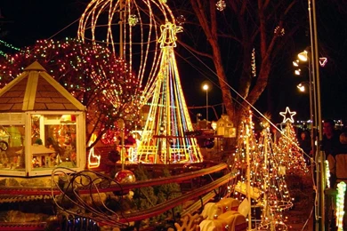 Impressive Christmas Firework HD Collection : Holly Wallpapers ...