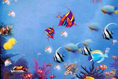 Free Fish Wallpaper~