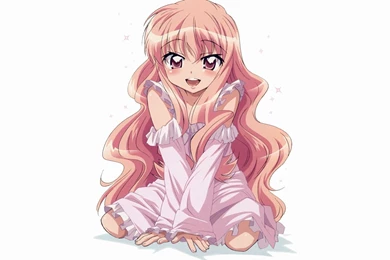 The Familiar Of Zero Wallpapers