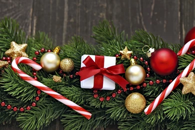 Daisy Nook xmas background iStock_000021988426Large Albion Farm ...