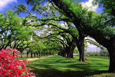 Best Nature Wallpapers High Definition Desktop Wallpapers ...