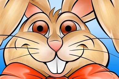 1152x864 Funny Bunny Face Desktop PC And Mac Wallpapers