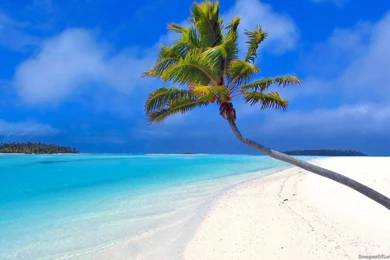 Nice Best Nature Wallpapers