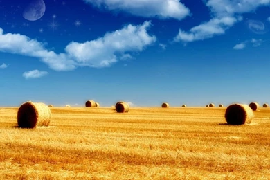 Welcome Summer Wallpapers HD Wallpapers