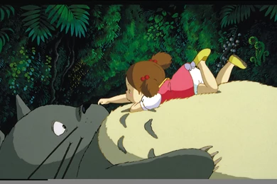 My Neighbor Totoro Computer Wallpapers, Desktop Backgrounds ...