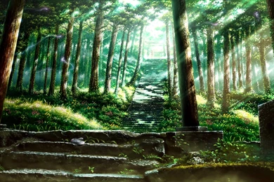 Tonari No Totoro Computer Wallpapers, Desktop Backgrounds ...