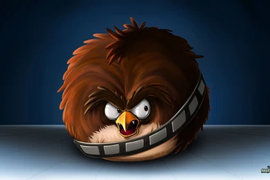 Angry Birds HD Wallpapers   Cool Wallpapers